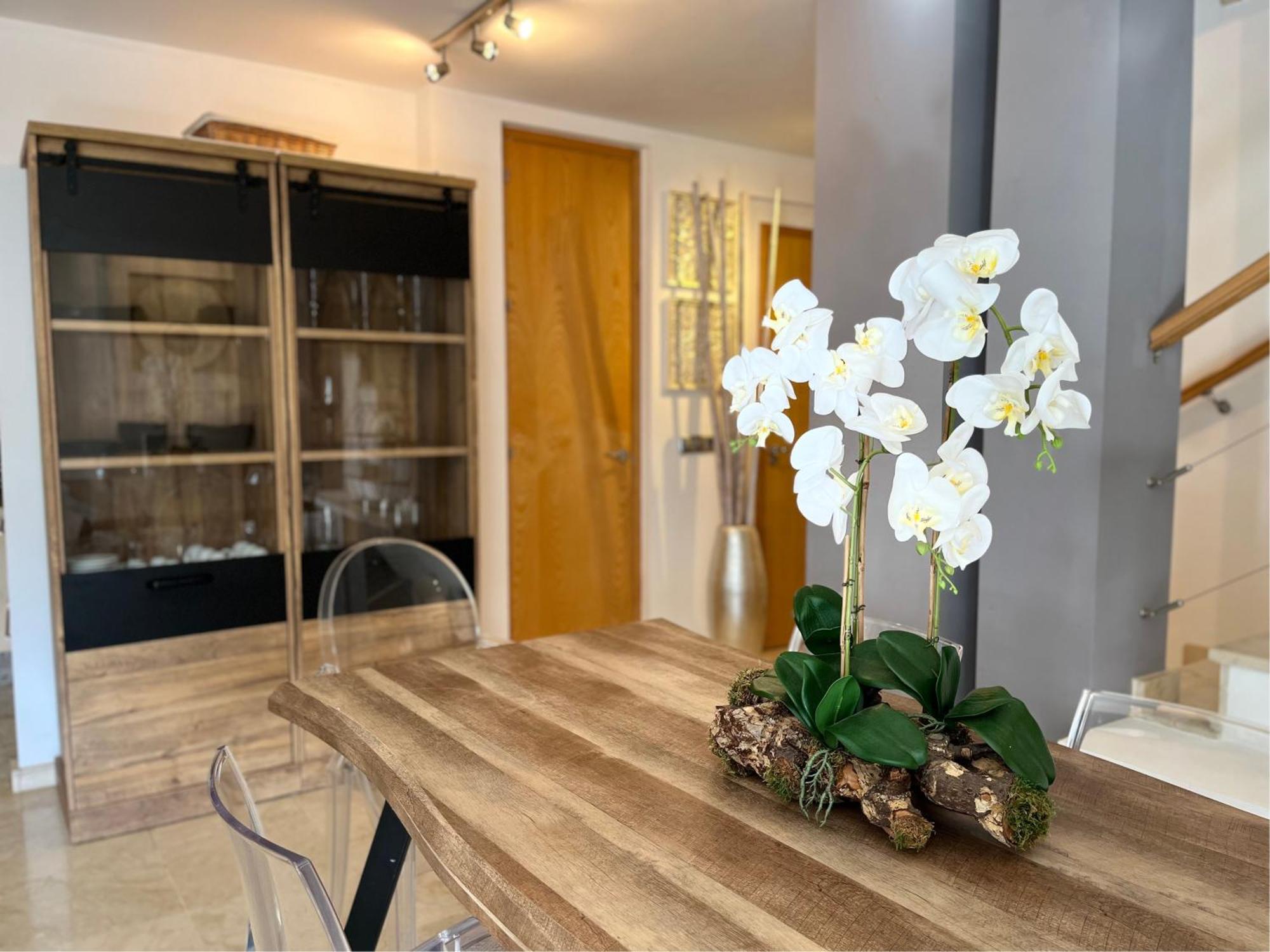 Penthouse Apartment Ojen
